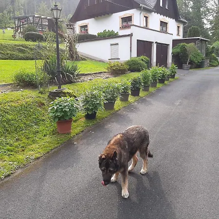 Lejlighed Sylvia-marie