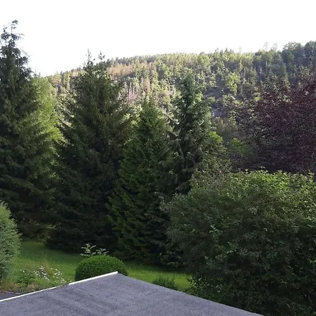 Sylvia-marie Ziegenrück