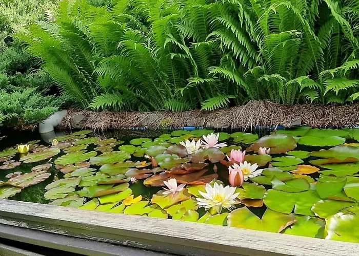 Apartamento Sylvia-marie Ziegenrück